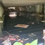 Заборавен комунален проблем – привлекува инсекти и шири смрдеа