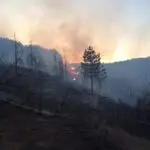 Пожар зафати викендички кај Штип, повреден е сопственик, се гаси и со авион на ДЗС