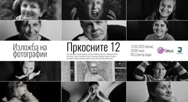 Изложба „Пркосните 12“, сведоштва за интеракција, синергија и емпатија