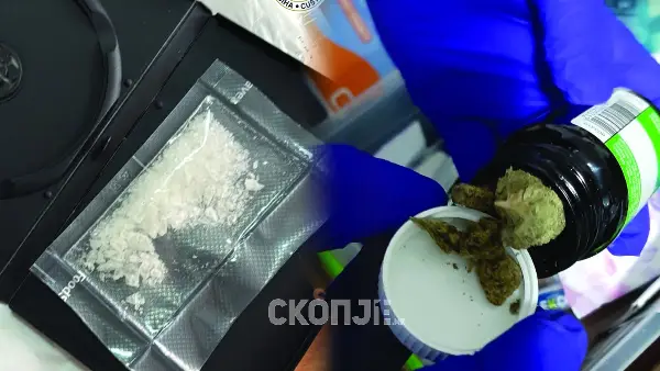 Царинска управа: Во поштенски пратки пронајдена дрога, кривична пријава ќе биде поднесена против едно лице