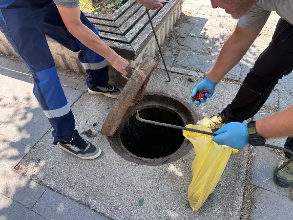 Ѓорче Петров во акција против глодари и инсекти: Во тек дератизација и дезинсекција