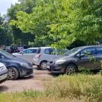 Овчи Пазар нема овци за стрижење