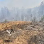 Пожарникари дежураат во штипски села, дали огнот ќе се разгори