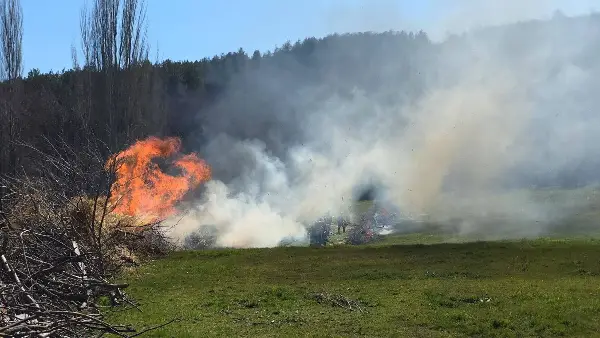 Денеска имало шест активни пожари низ Македонија, попладнево сè уште гори шума во Велешко
