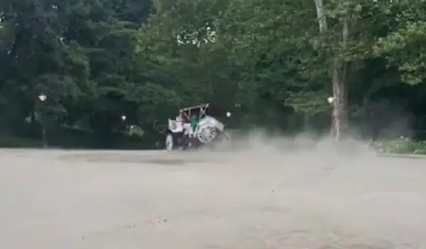 Млад турист загина откако коњ збесна во Централ Парк во Њујорк (ВИДЕО)