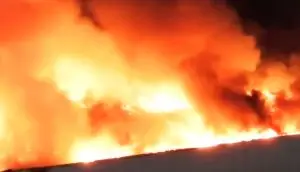ВИДЕО | Вонредна состојба во Лос Анџелес — беснее пожар, семејства бараат засолниште