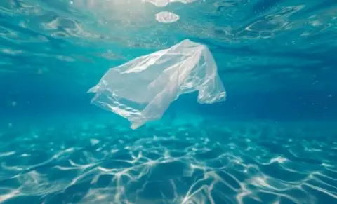 Зошто туристите носат кеса на море? Трикот од плажа стана вирален
