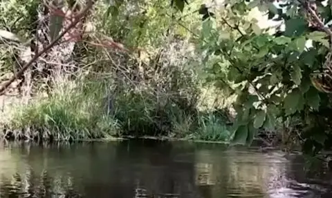 Научниците открија генијален начин за борба против големите суши во Јута