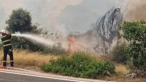 ЦУК: Активни три пожари низ Македонија, во Куманово и Илинден горат бандери, дрвја и отпад