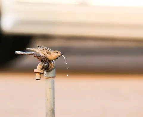 Без вода дел од корисниците на општина Карпош