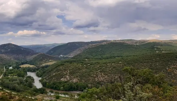 Од 1 јули целосна забрана за движење во шуми