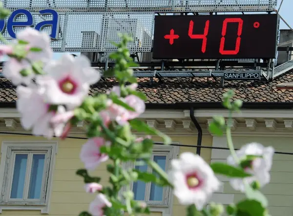 ГЕРМАНИЈА ГОРИ: За првпат измерени рекордни 41,3 степени Целзиусови