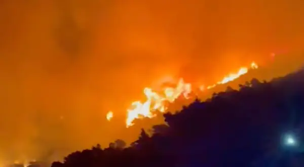 (Видео) Голем пожар на островот Вис: 70 пожарникари се борат со огнената стихија, вклучени и канадери