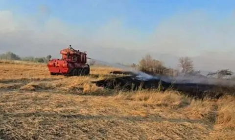 Пожар во близина на македонско – грчката граница во Дојран