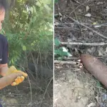 Неексплодирана граната пронајдена кај границата со Грција, ќе биде уништена на „Криволак“
