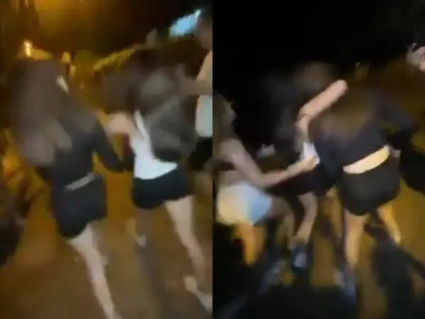 НАСИЛСТВО МЕЃУ ДЕВОЈЧИЊА: Сниман напад врз 12-годишно девојче од 14-годишно, и друга малолетничка, во парк во скопски Аеродром