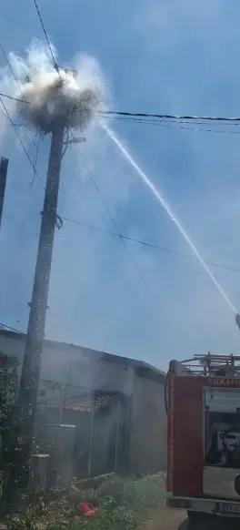 Се запали гнездо во Росоман, спасени мајката и трите штркчиња