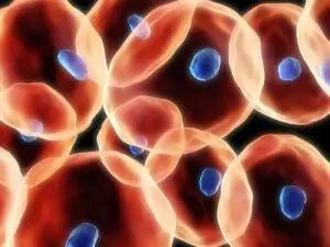Чекор кон вештачки живот? Научниците создадоа синтетичка клетка што сама расте и се дели