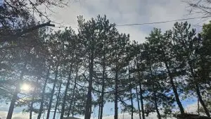 Сончево и ветровито време