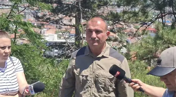АНГЕЛОВ: Пожарите во Штип и Пробиштип се изгаснати, се истражува дали се подметнати