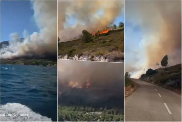 Пожарите почнаа. Гори во Грција, Хрватска и Словенија, туристите на тревога