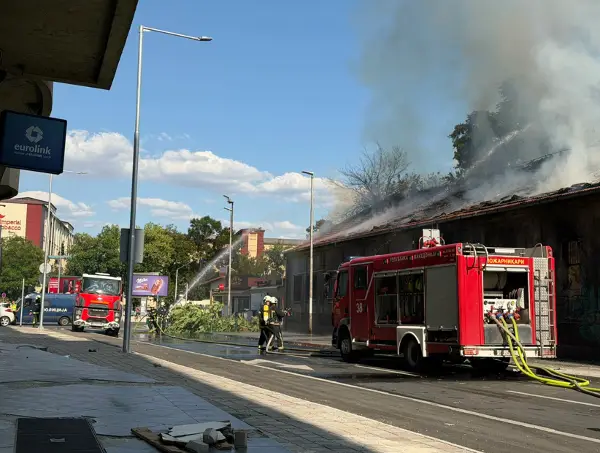 Видео: Пожар изби во магацин во Кисела вода