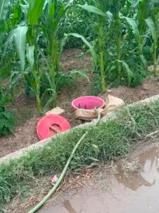 Во Гостивар фатени и казнети лица за злоупотреба на водата за пиење