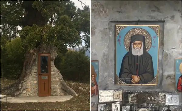 Чудо на природата: Мала црква изградена во внатрешноста на вековно дрво, секоја година привлекува илјадници  верници и туристи во Грција (ВИДЕО)
