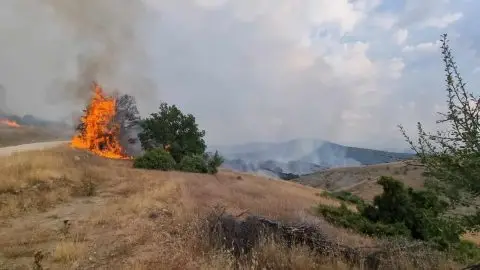 Голем шумски пожар кај Порто Палермо во јужна Албанија