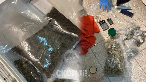 Голема количина дрога откриена во подрум во Аеродром