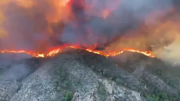 Шпанија во пламен: Андалузија погодена од најразорниот пожар досега, 12 лица загинаа (ВИДЕО)