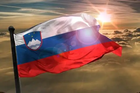 Во Љубљана протест за излегување на Словенија од НАТО