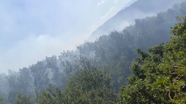 Пожар во Валандовско, општината се сомнева дека е подметнат