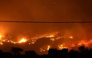 Во шумските пожари во Франција изгореа 17.000 хектари земјиште