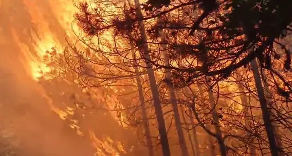 Грција во готовност поради многу висок ризик од пожари