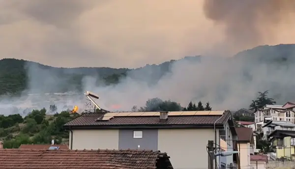 Изгаснат пожарот што вчера гореше кај Охрид