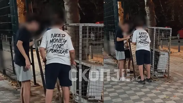 (Видео) Опасност на игралиште во Мичурин: Малолетници сами пуштаат струја преку отворено електрично сандаче