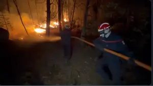 Шпанските пожарникари се борат да го стават под контрола шумскиот пожар во близина на Мадрид