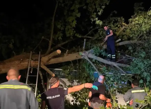 Силно невреме го погоди Стар Дојран, десетици дрвја на повеќе локации оштетија настрешници, возила, покрив и опрема на плажите