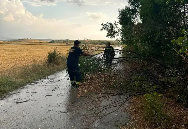 Невремето низ кумановско искина жици, урна бандери и откорна дрвја