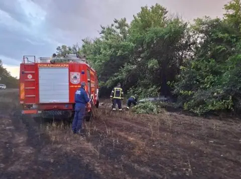 Невремето предизвика пожари, паднати дрвја и прекини на струја во Куманово и Старо Нагоричане