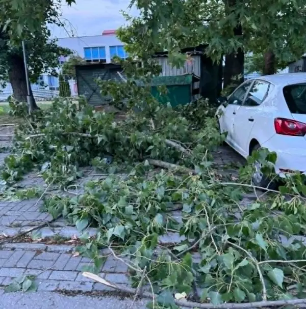 Почнува пријавувањето штети во Кисела Вода: Рокот е 30 дена, еве што треба да поднесете