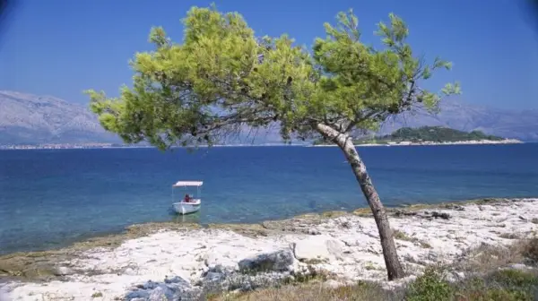 Ешерихија коли во водите на хрватска плажа