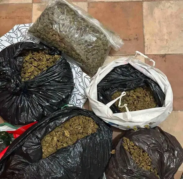 Кај две лица се пронајдени пет килограми марихуана