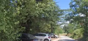 ФОТО | Туристите се паркираат в шума поради поскапениот паркинг на плажите во Охрид кој е празен