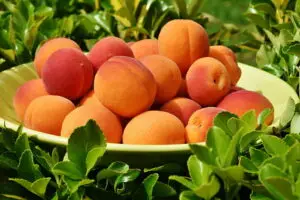 Кајсиите се суперздрави и вкусни, но не се за секого — еве кој треба да внимава 