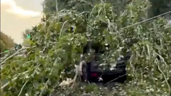 (Видео) Разорно невреме во Русија: Ветер корнеше дрвја, едно лице загина и 13 повредени