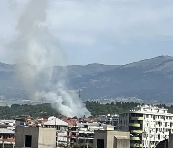 Нов пожар избувна во парк-шумата „Гази Баба“