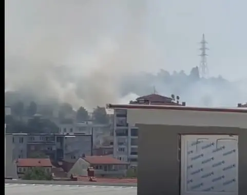 Голем пожар во парк шумата Гази Баба (ВИДЕО)