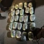 Осум лица уапсени во акција на полицијата, пронајдена дрога во Скопје и Тетово